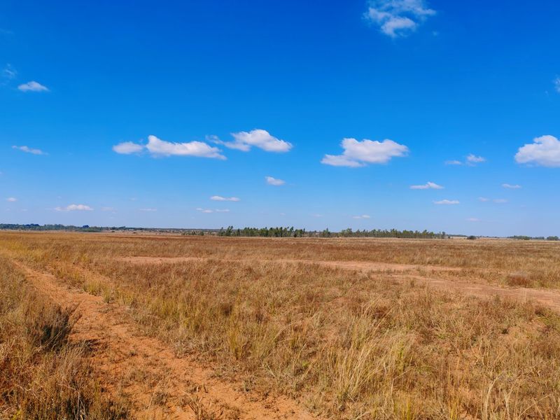 Farm for sale, Mookgopong - Photo 9