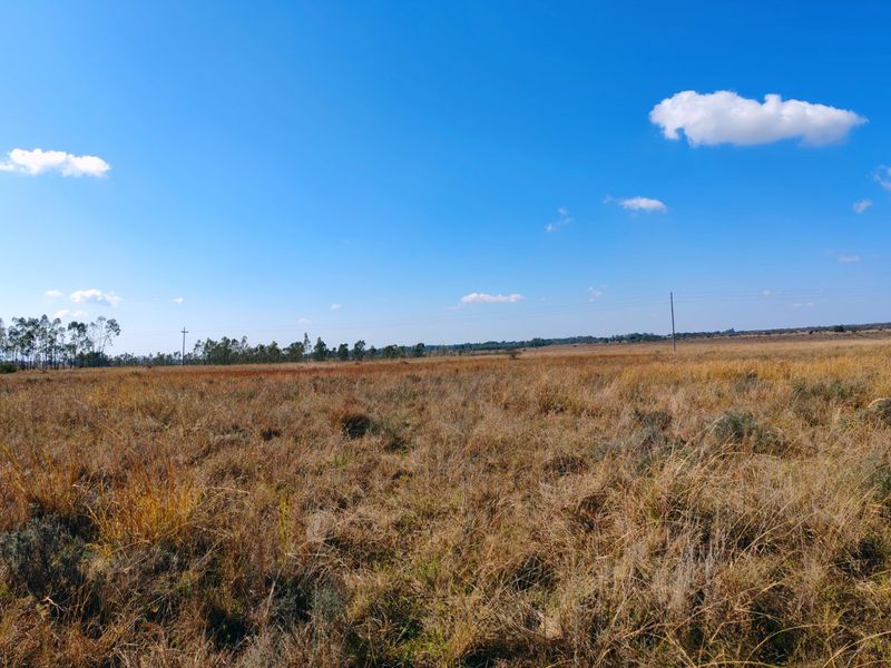 Farm for sale, Mookgopong - Photo 8