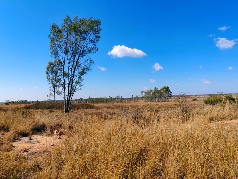 Farm for sale, Mookgopong - Photo 7