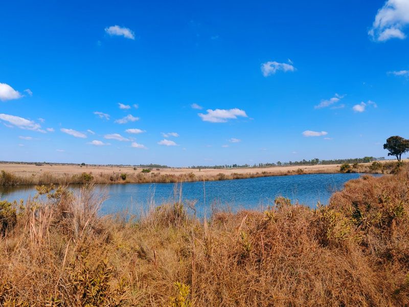 Farm for sale, Mookgopong - Photo 1