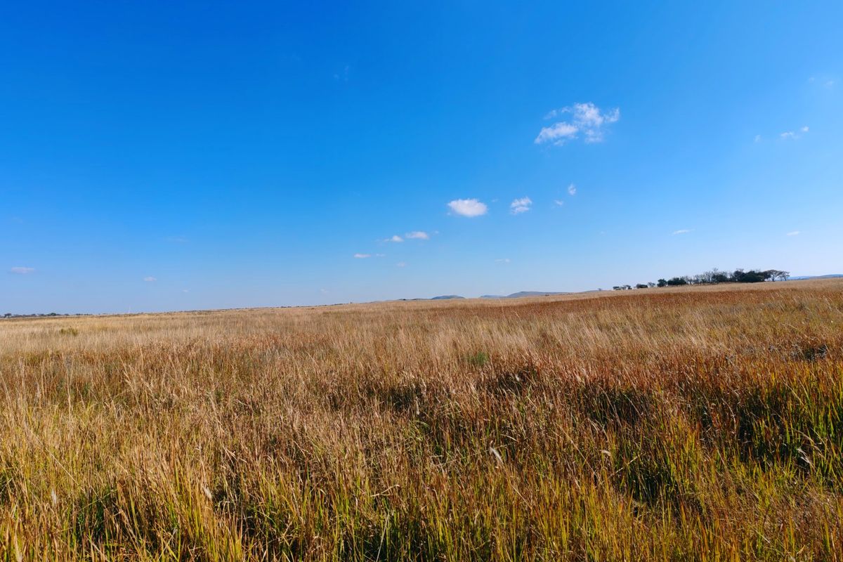Farm for sale, Mookgopong - Photo 4
