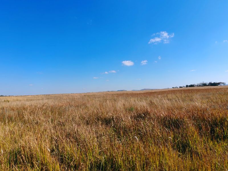 Farm for sale, Mookgopong - Photo 4