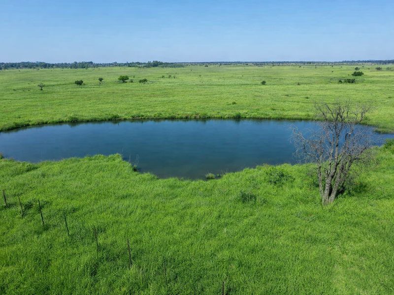 Farm for sale, Mookgopong - Photo 6