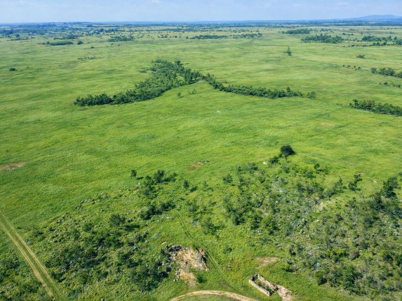 Farm for sale, Mookgopong - Photo 5