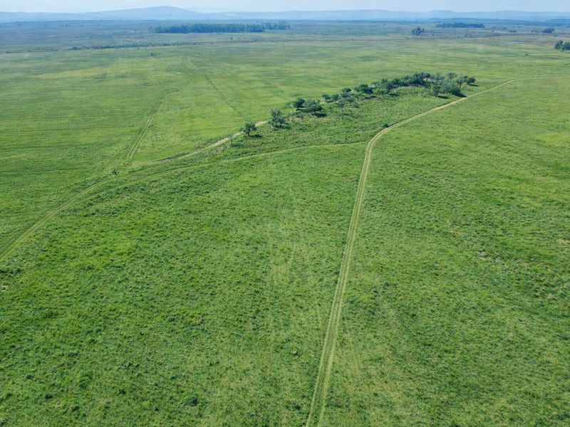 Farm for sale, Mookgopong - Photo 3