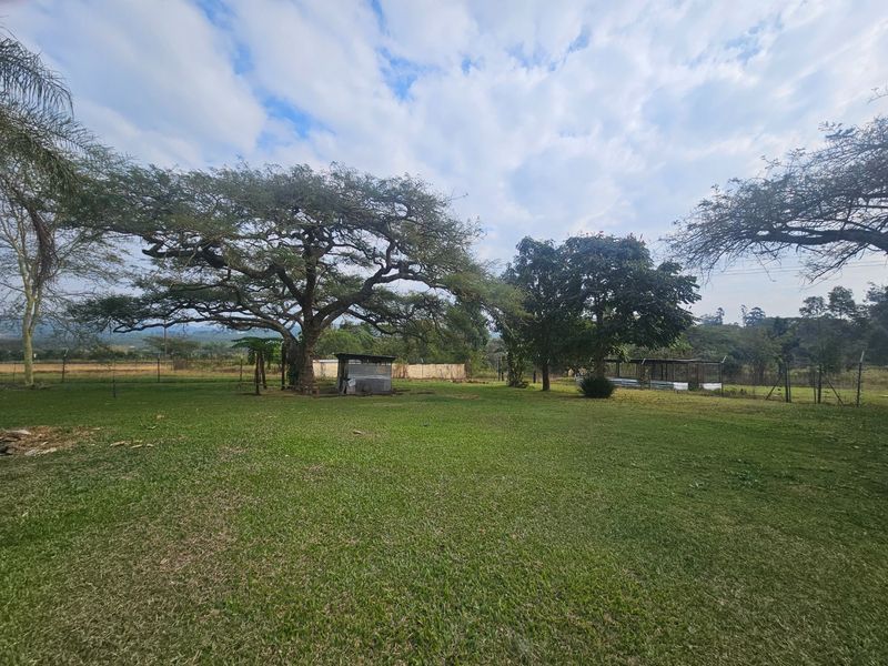 Prime Location, 2.5ha  Flat Land with 2 Residence  - Photo 10