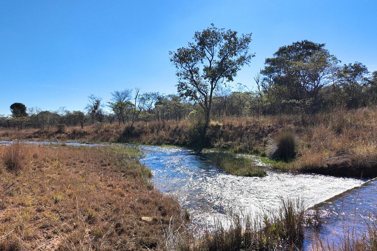 705 Hectares Vaalwater With River || 30% share || 1 title deed - Photo 3