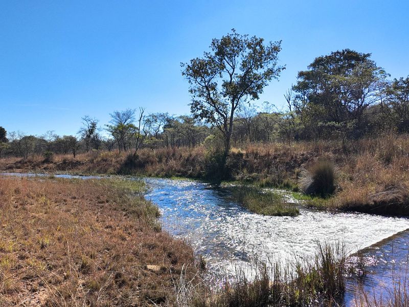 705 Hectares Vaalwater With River || 30% share || 1 title deed - Photo 3