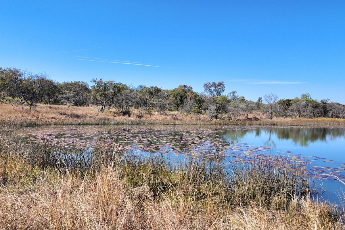 705 Hectares Vaalwater With River || 30% share || 1 title deed - Photo 2