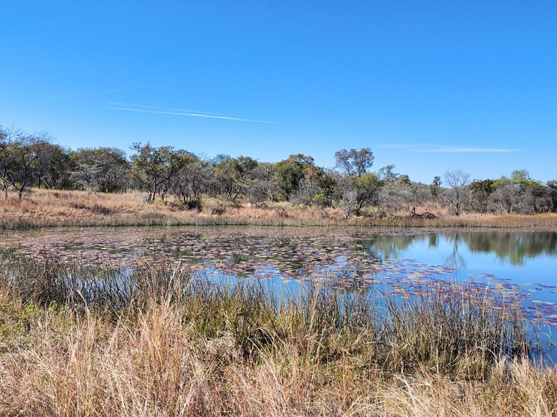 705 Hectares Vaalwater With River || 30% share || 1 title deed - Photo 2