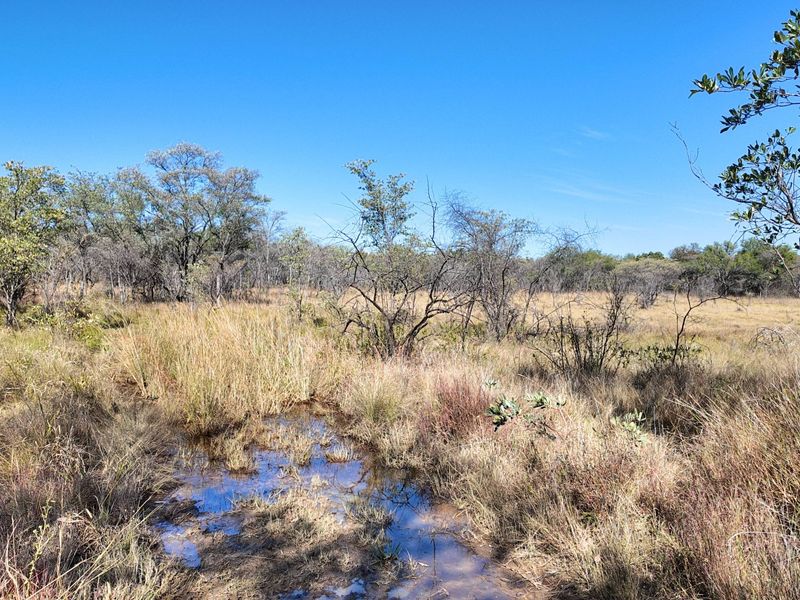 705 Hectares Vaalwater With River || 30% share || 1 title deed - Photo 10