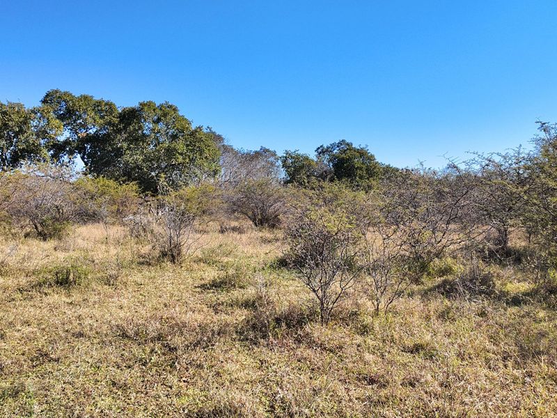 705 Hectares Vaalwater With River || 30% share || 1 title deed - Photo 8