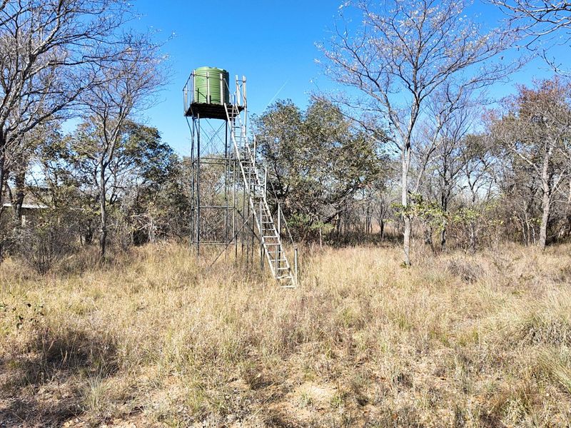 705 Hectares Vaalwater With River || 30% share || 1 title deed - Photo 7