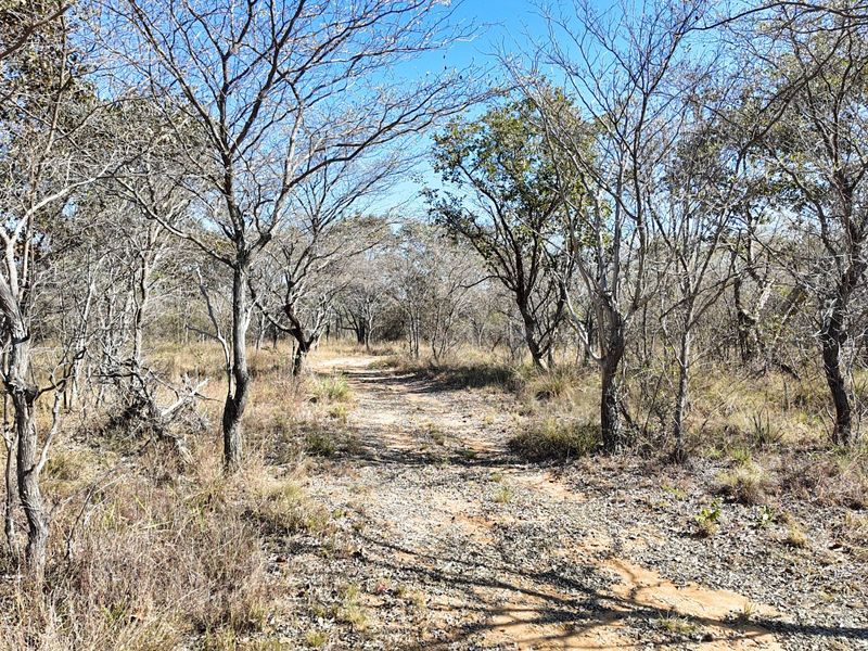705 Hectares Vaalwater With River || 30% share || 1 title deed - Photo 6