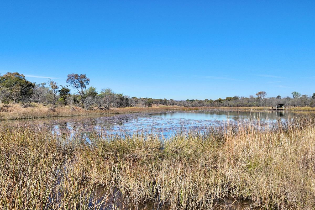 705 Hectares Vaalwater With River || 30% share || 1 title deed - Photo 4