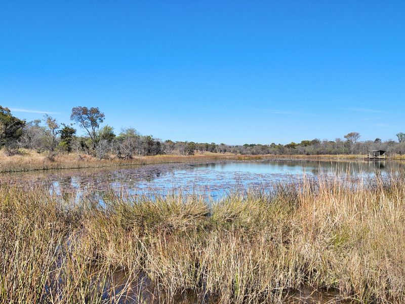 705 Hectares Vaalwater With River || 30% share || 1 title deed - Photo 4