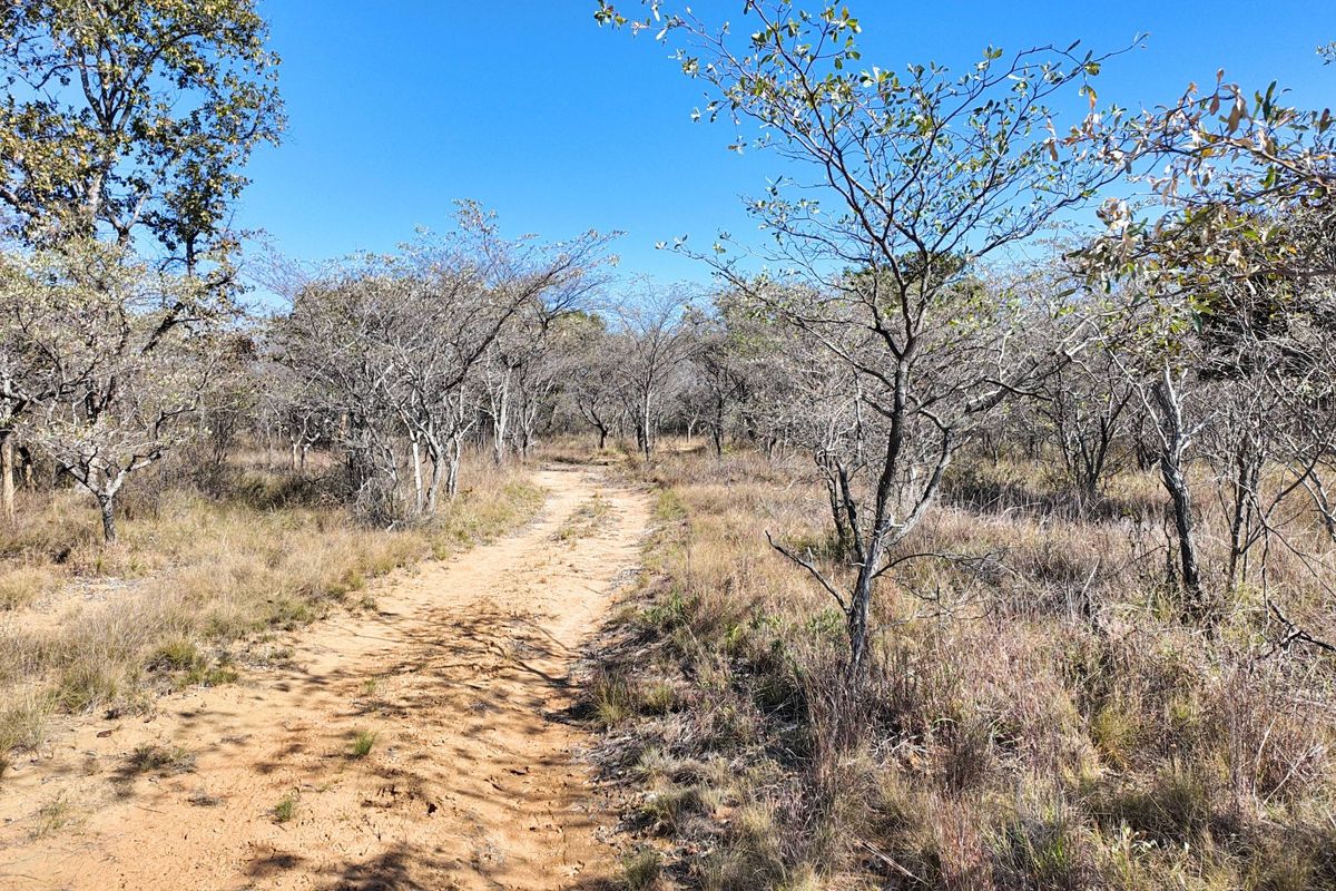 705 Hectares Vaalwater With River || 30% share || 1 title deed - Photo 5