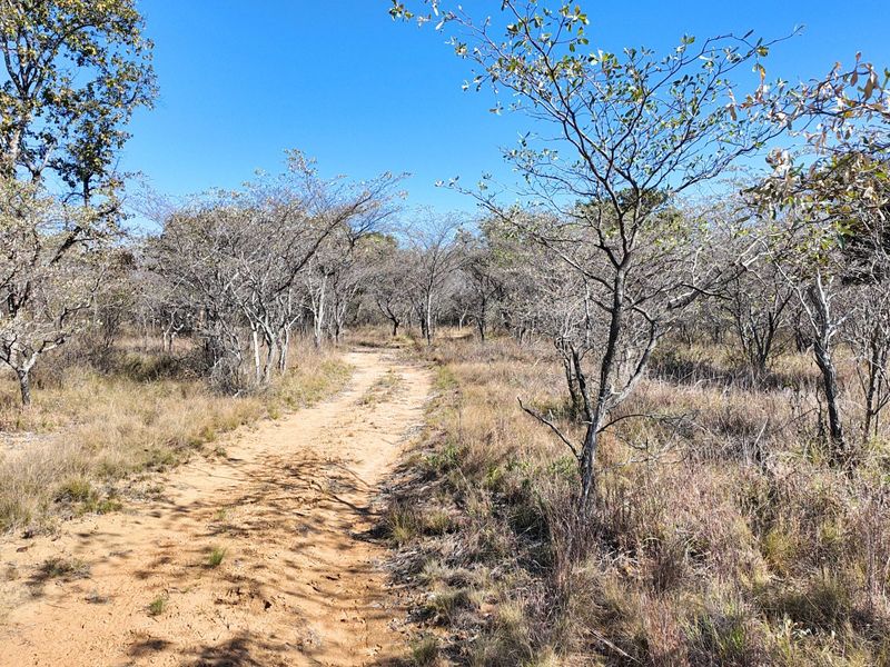705 Hectares Vaalwater With River || 30% share || 1 title deed - Photo 5