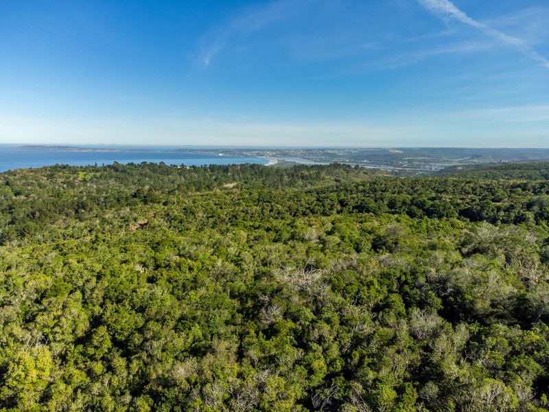 11.3ha Sea views and Indigenous Forest - Photo 1
