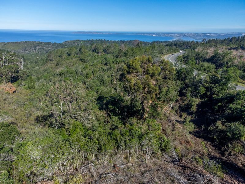 11.3ha Sea views and Indigenous Forest - Photo 10