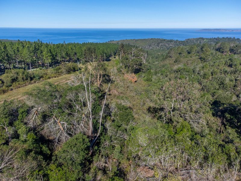 11.3ha Sea views and Indigenous Forest - Photo 9