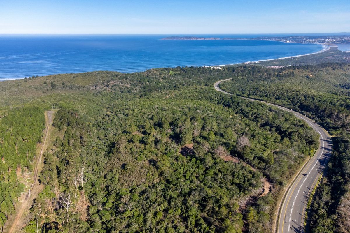 11.3ha Sea views and Indigenous Forest - Photo 4