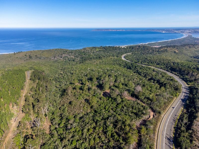 11.3ha Sea views and Indigenous Forest - Photo 4