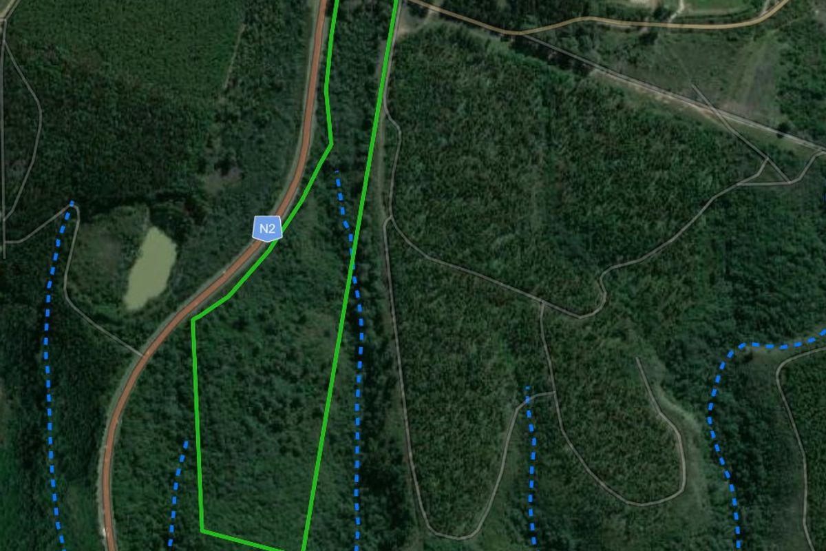 11.3ha Sea views and Indigenous Forest - Photo 3