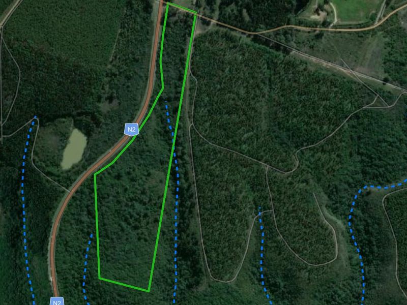 11.3ha Sea views and Indigenous Forest - Photo 3