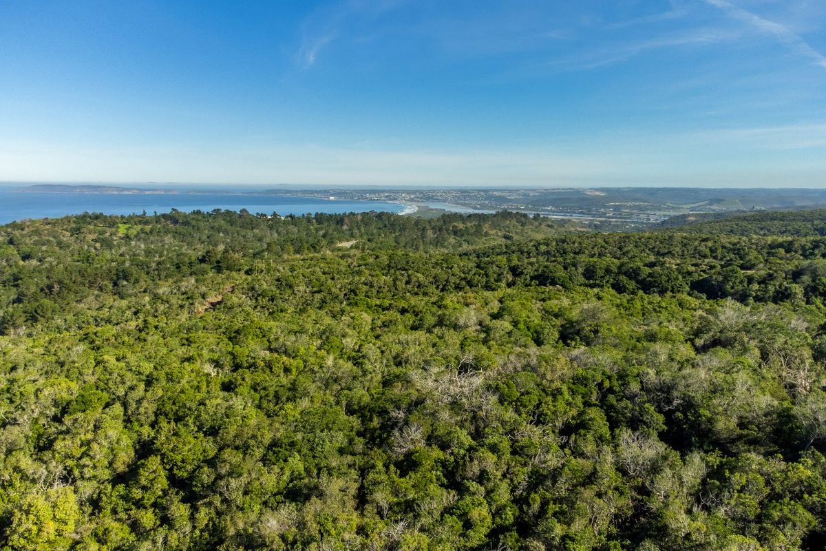 An expansive aerial view showcasing the property's natural landscape, featuring dense native forest with scenic coastal and ocean vistas in the distance.