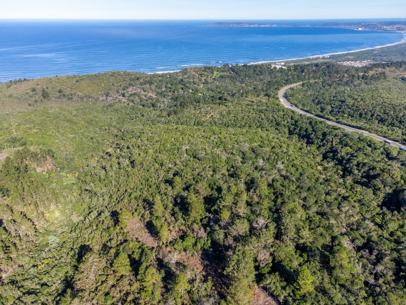 An aerial view of the expansive coastal property featuring dense forest vegetation and proximity to the ocean and main road access.