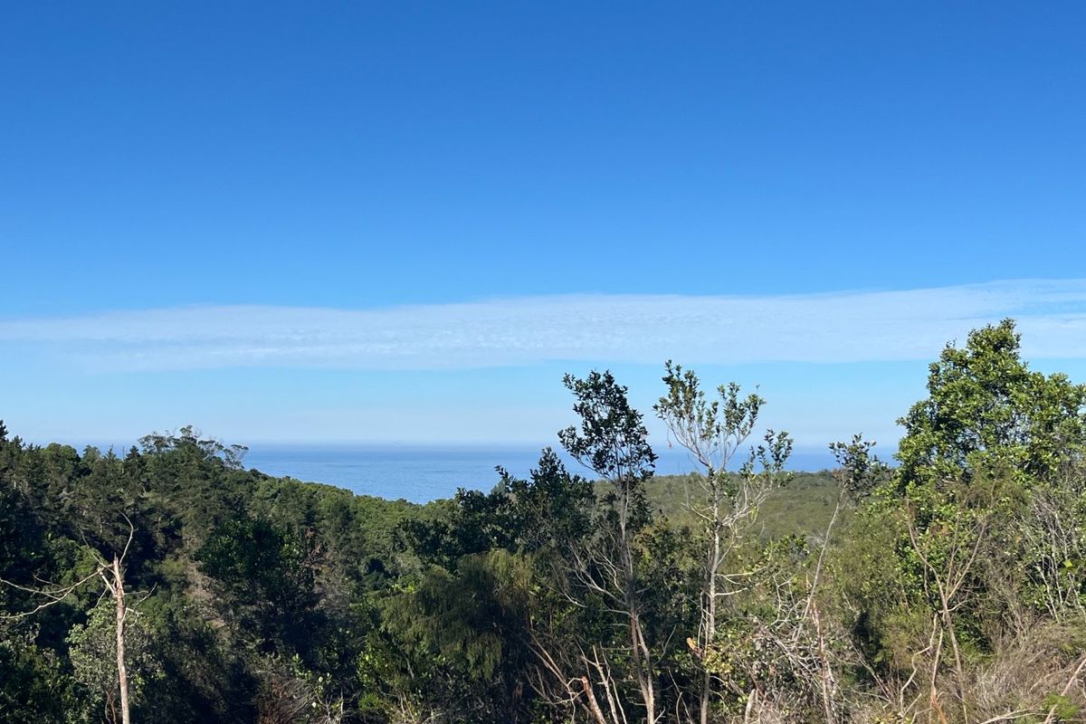 A scenic landscape view overlooking lush coastal vegetation and the ocean horizon under a clear blue sky.