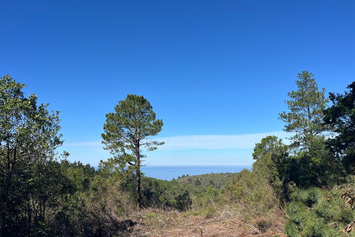 A scenic view overlooking the surrounding landscape and distant coastline, showcasing the natural beauty and elevated position of the property.