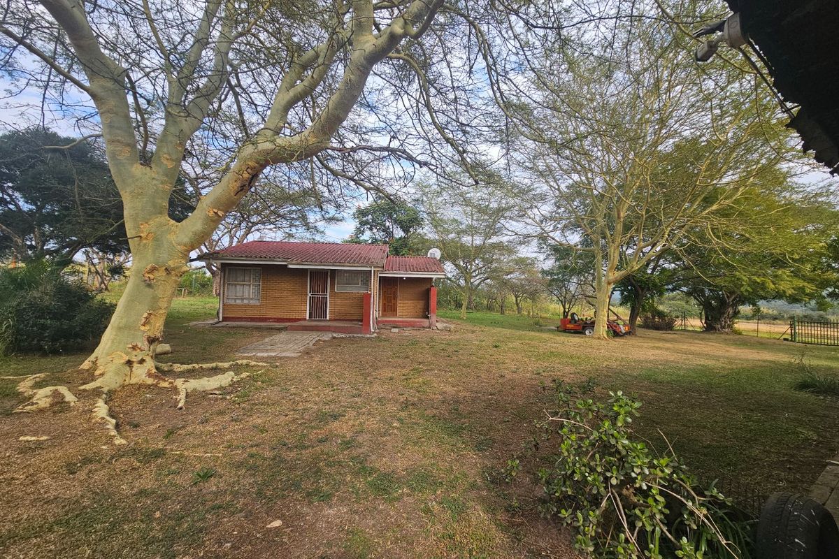 2 Bedroom House On Main Rd Next To Airport - Photo 4