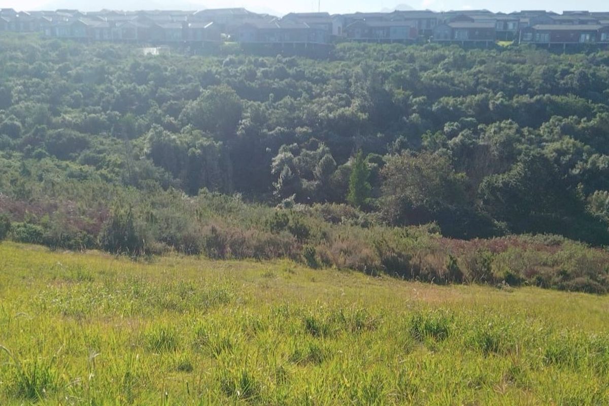 A scenic view of a sloped, grassy vacant residential plot overlooking a dense green valley and distant residential estate.