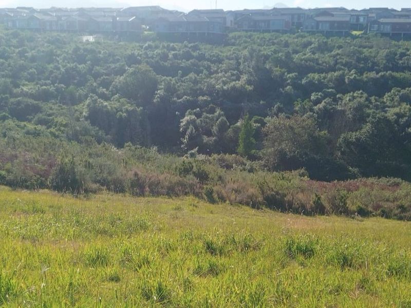 A scenic view of a sloped, grassy vacant residential plot overlooking a dense green valley and distant residential estate.