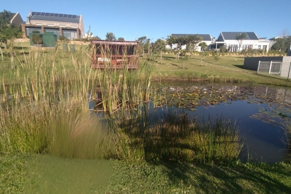 A scenic residential garden featuring a natural pond with aquatic plants, a wooden gazebo, and well-maintained lawn areas within a residential estate.