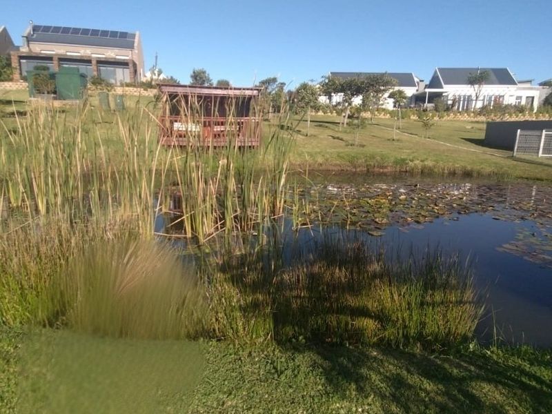 A scenic residential garden featuring a natural pond with aquatic plants, a wooden gazebo, and well-maintained lawn areas within a residential estate.