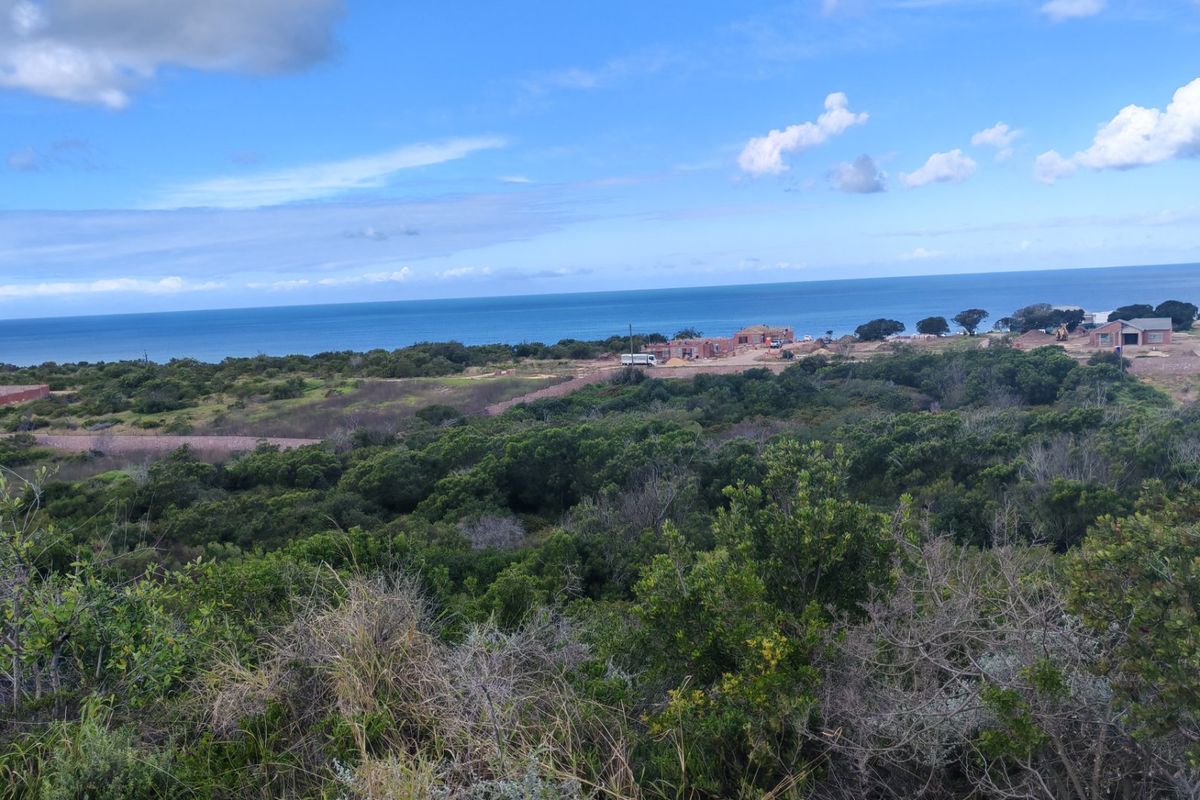 Fantastic Coastal Investment Opportunity in the Garden Route - Photo 4