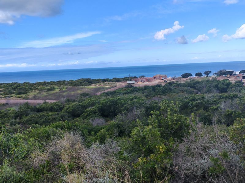 Fantastic Coastal Investment Opportunity in the Garden Route - Photo 4