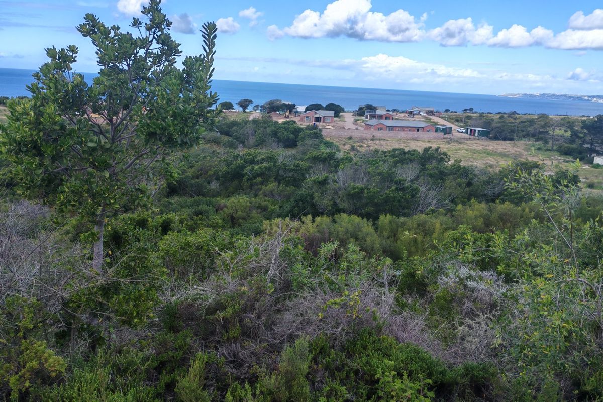 Fantastic Coastal Investment Opportunity in the Garden Route - Photo 3