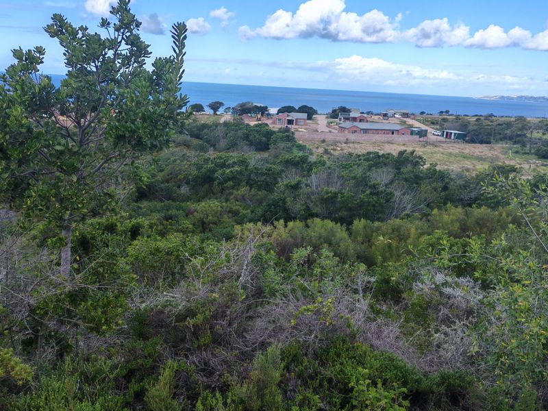 Fantastic Coastal Investment Opportunity in the Garden Route - Photo 3