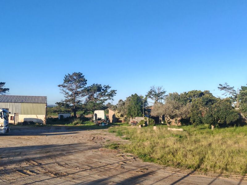 Fantastic Coastal Investment Opportunity in the Garden Route - Photo 10