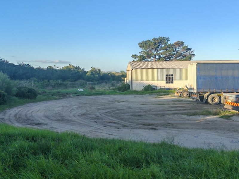 Fantastic Coastal Investment Opportunity in the Garden Route - Photo 9