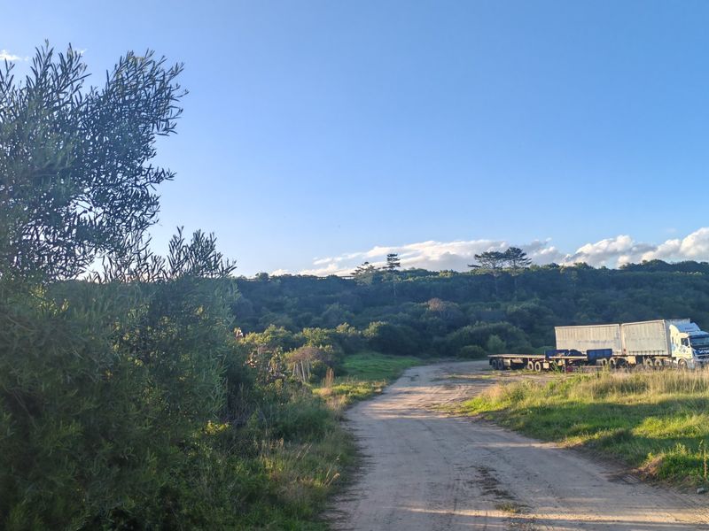 Fantastic Coastal Investment Opportunity in the Garden Route - Photo 8