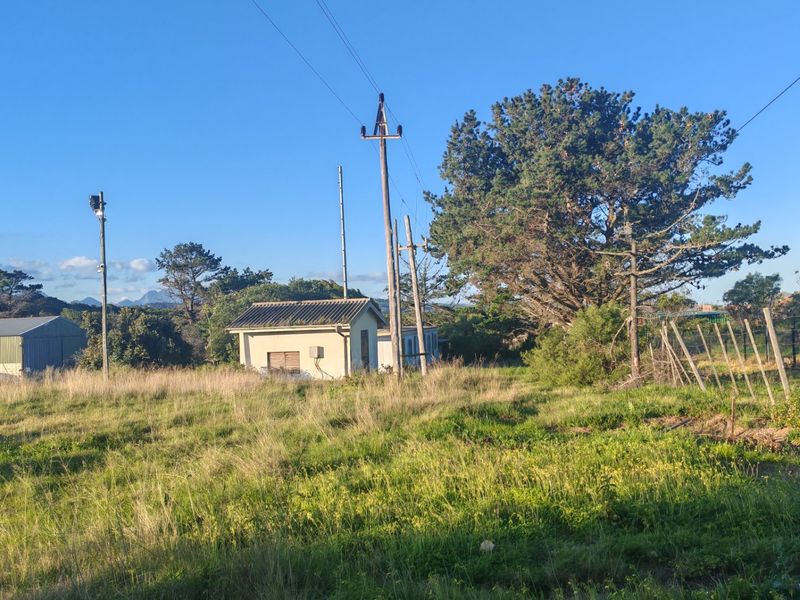 Fantastic Coastal Investment Opportunity in the Garden Route - Photo 7