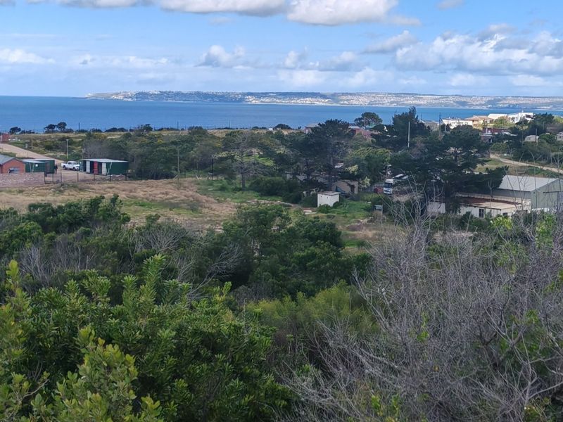 Fantastic Coastal Investment Opportunity in the Garden Route - Photo 1