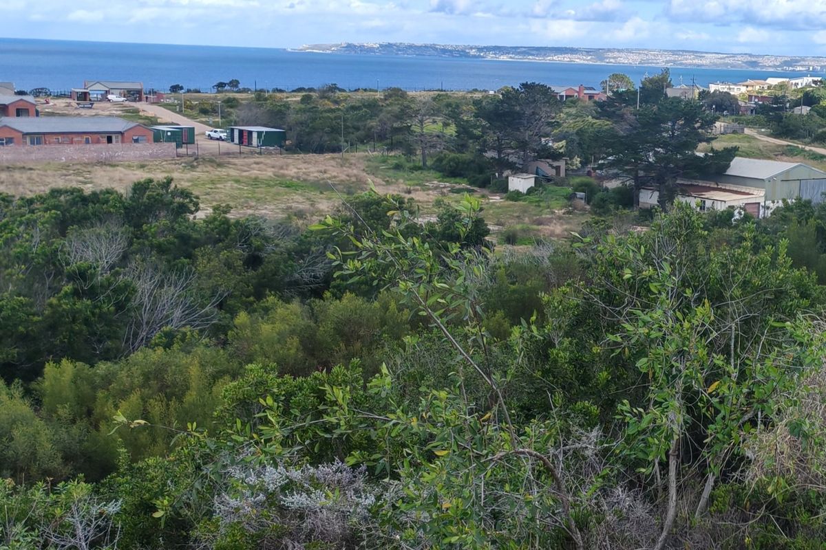 Fantastic Coastal Investment Opportunity in the Garden Route - Photo 2