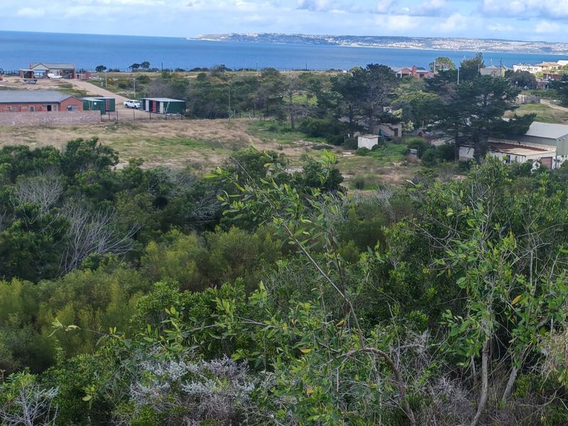 Fantastic Coastal Investment Opportunity in the Garden Route - Photo 2