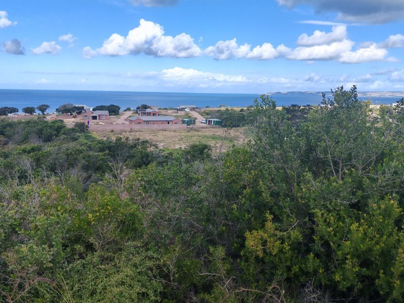Fantastic Coastal Investment Opportunity in the Garden Route - Photo 5